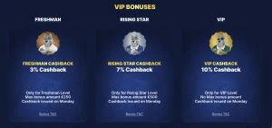Slotwolf VIP bonus