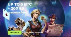 Bitslot crypto casino welcome bonus with 5 BTC and 200 free spins available
