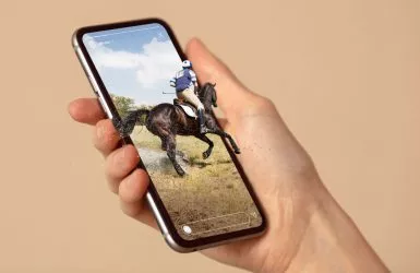 Horse race betting crypto online virtual