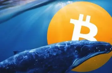 bitcoin whale