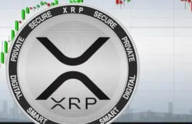 xrp coin