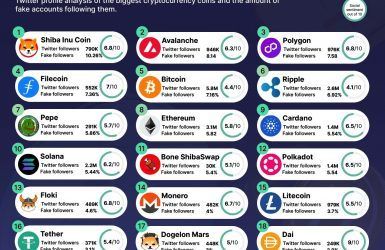 crypto accounts with the most fake followers