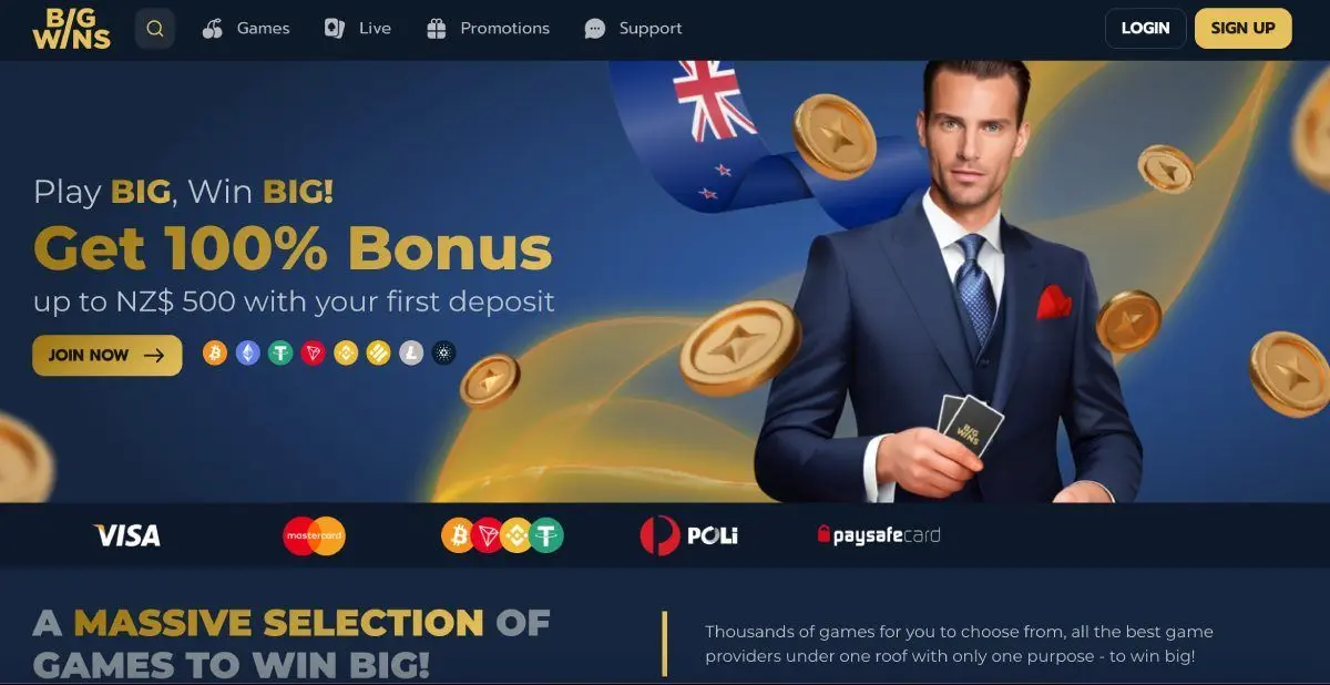 bigwins casino homepage