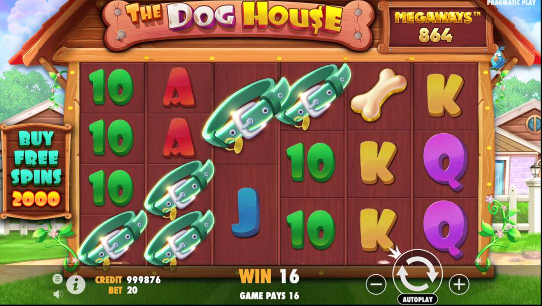 the dog house megaways gameplay