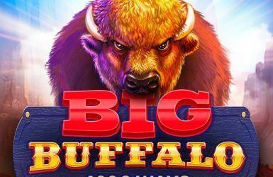 big buffalo logo
