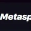 Logo image for Metaspins