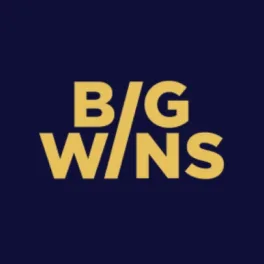 logo image for bigwins Mobile Image